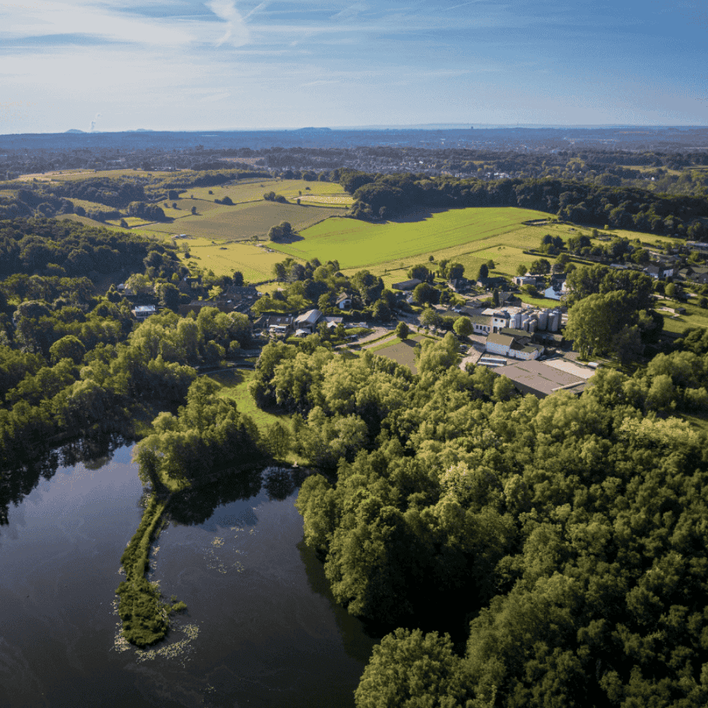 Natuurrijke omgeving taphuis Alfa Brouwerijcafé Mulderplas en Thullerbos